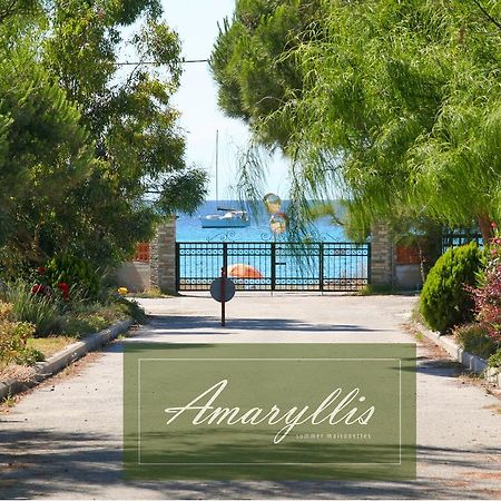Amaryllis Summer Maisonettes Possidi Room photo